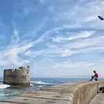 Flatguest - Castle Sea View